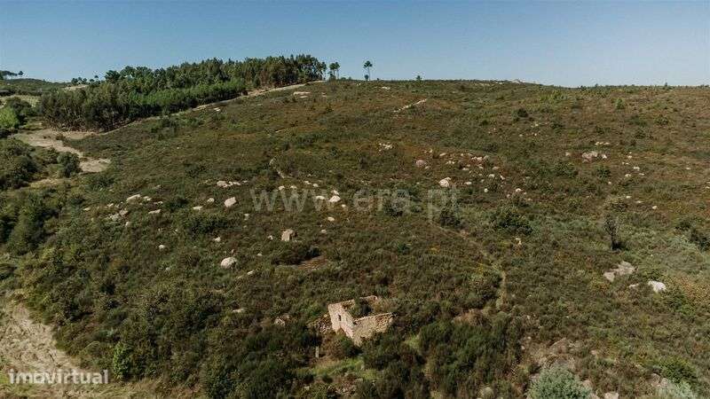 Quinta / Seia, Paranhos - Grande imagem: 4/16