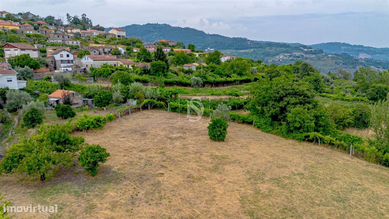 Terreno Para Construção  Venda em Ancede e Ribadouro,Baião-14