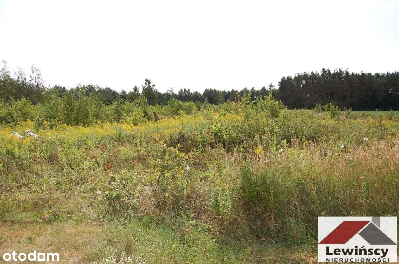 Piotrkowice - Gmina - Zabia Wola-0