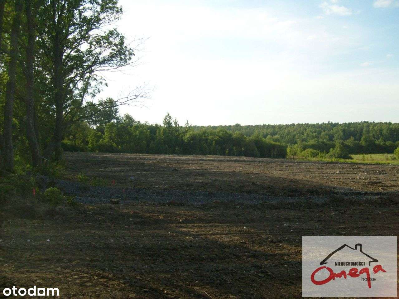 kompleks działek - Pełny obrazek: 5/6