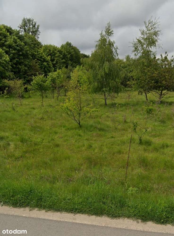 Duża działka 9000 m² w malowniczej okolicy - Pełny obrazek: 1/4