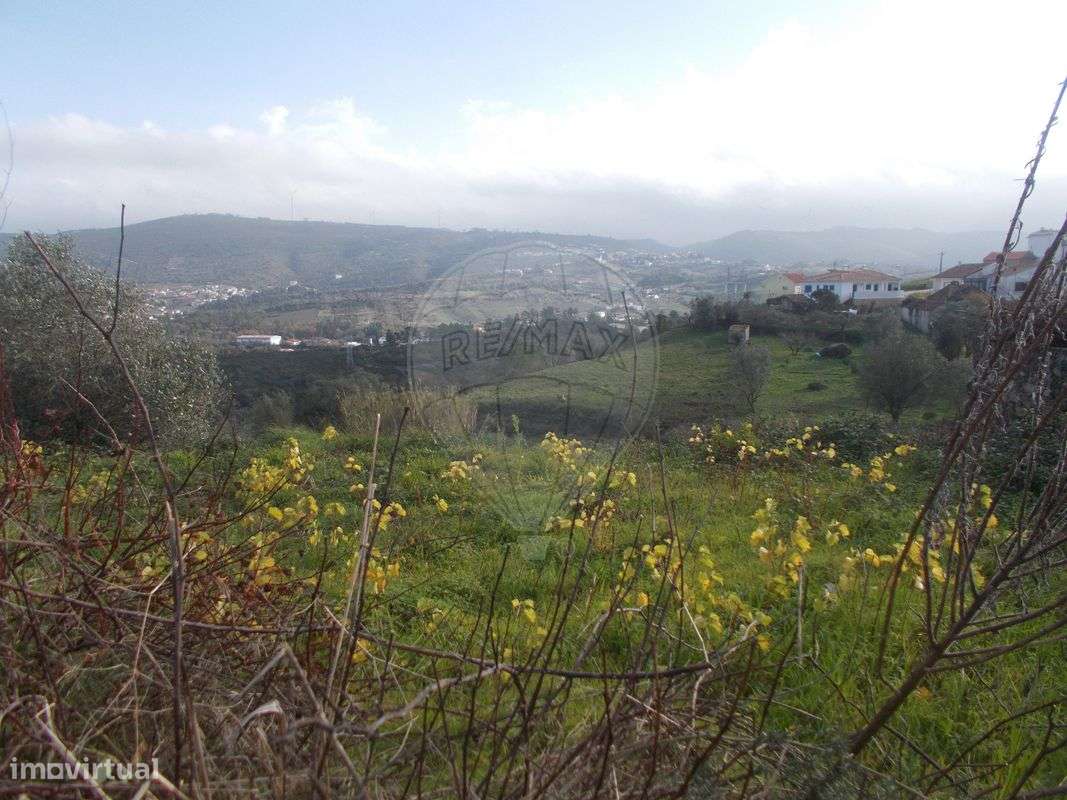 Terreno  para venda - Grande imagem: 4/9