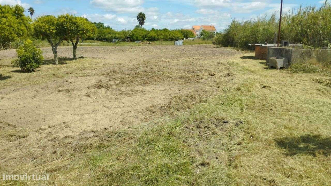 Vende-se Qintinha em Vendas Novas-6