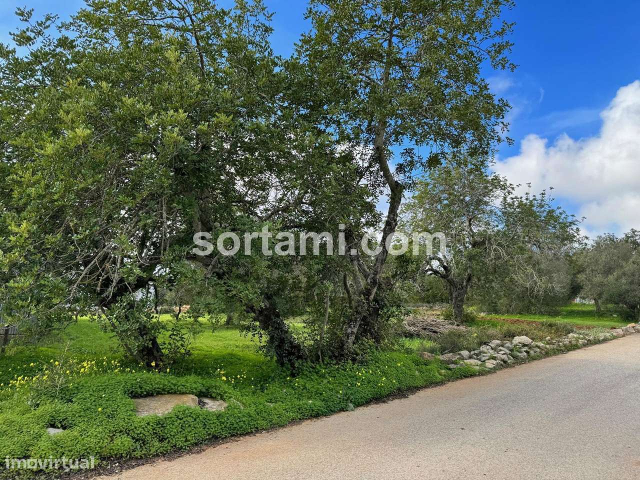 Terreno Para Construção  Venda em São Brás de Alportel,São Brás de Alp - Grande imagem: 3/4