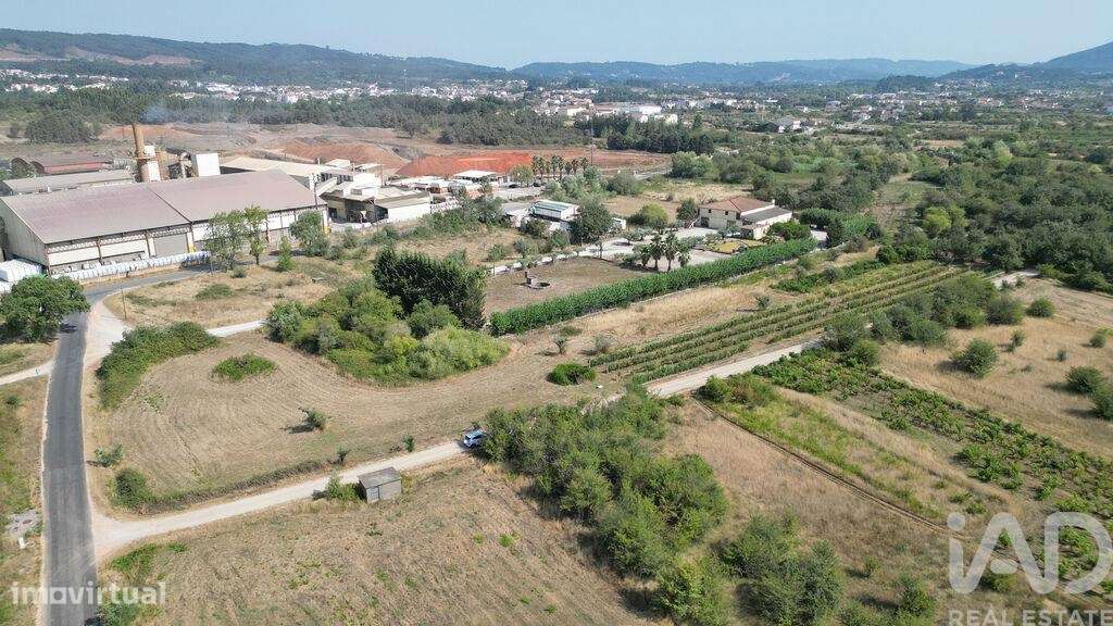 Terreno Agrícola em Cumeeira - Grande imagem: 4/23