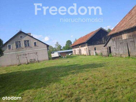 Obniżona cena sedliska w pieknej okolicy - Pełny obrazek: 1/12