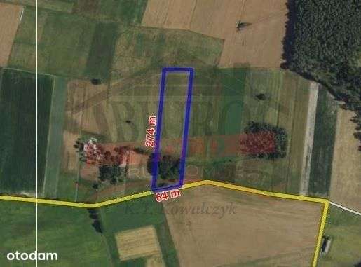 Biestrzynnik, działka 1,6 h z warunkami zabudowy - Pełny obrazek: 4/4