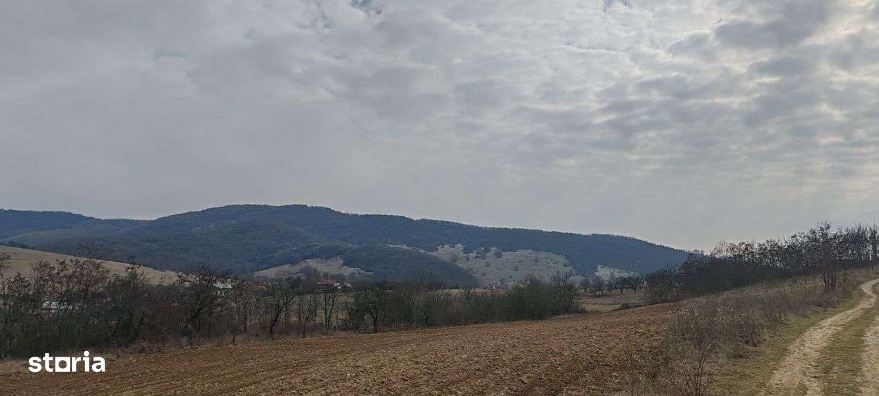 Teren 2282 mp, extravilan, localitatea Fasca, comuna Varciorog, jud. B - Imagine principală: 4/8