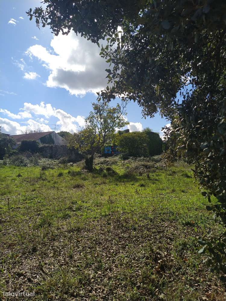 Terreno  em Fátima no lugar de Boleiros - Grande imagem: 5/12