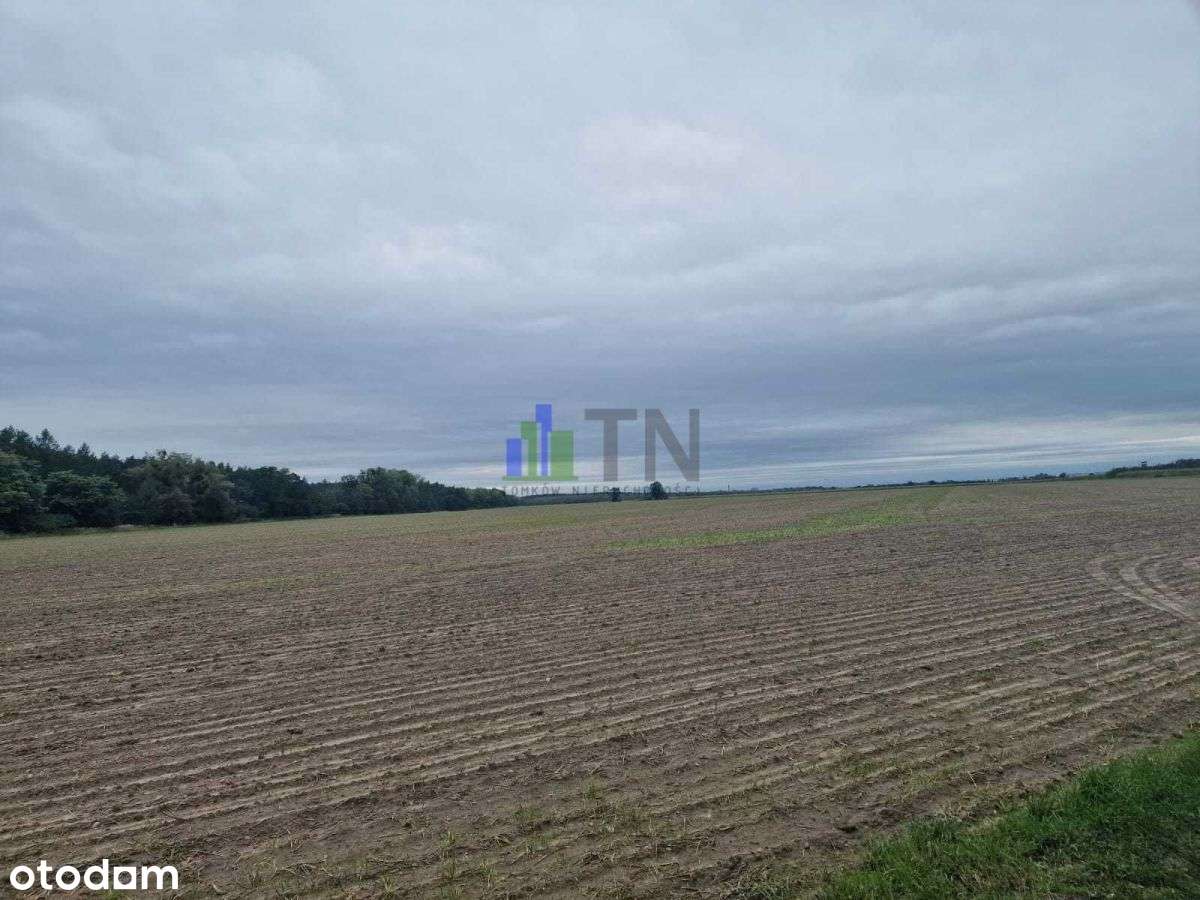 Działka, 1 000 m², Nowy Dwór - Pełny obrazek: 4/11