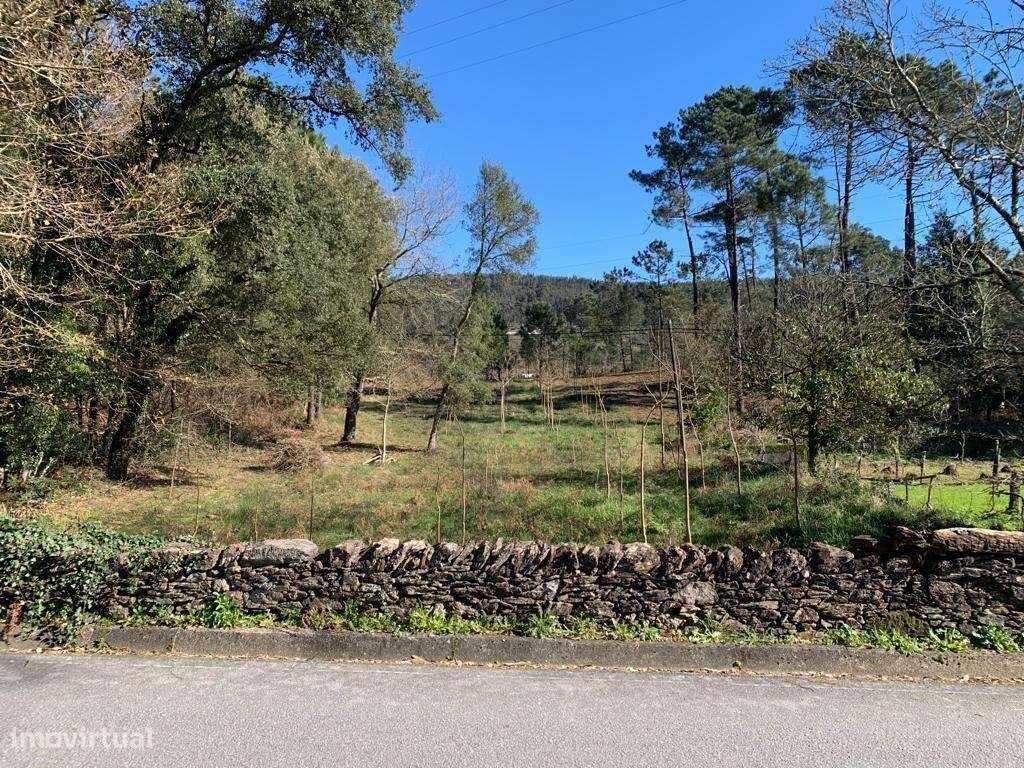 Terreno com PIP aprovado em Orbacém - Caminha - Grande imagem: 3/16