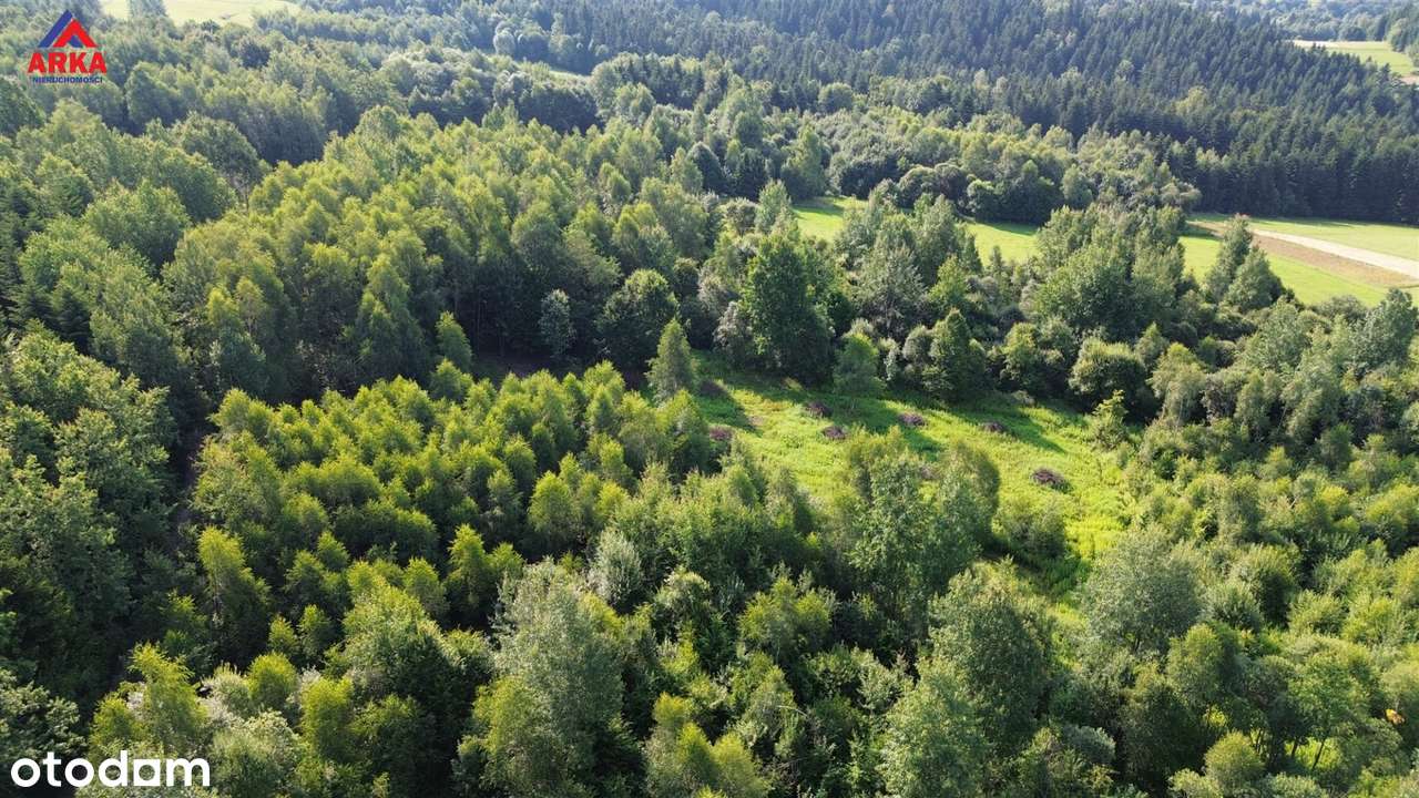 Piękna, słoneczna działka budowlana przy lesie!-9