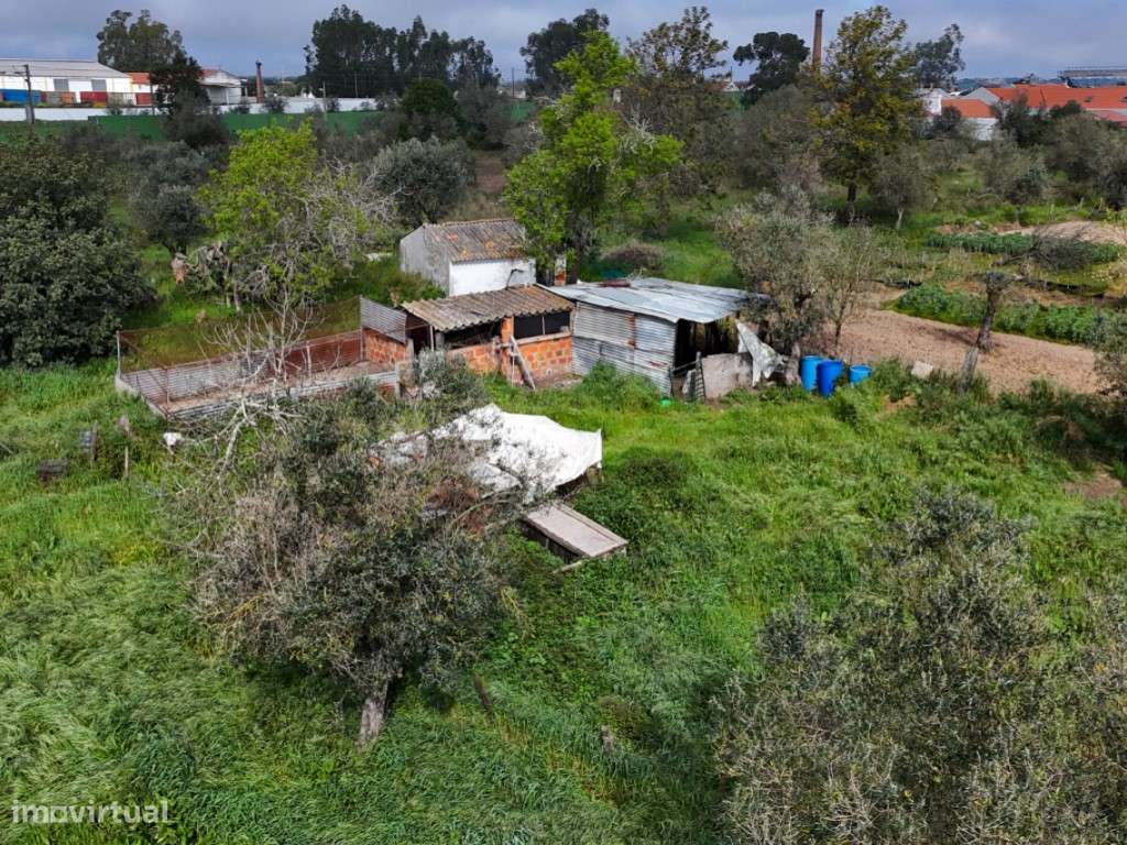 Quinta para Venda na Aldeia do Futuro - Grândola-31