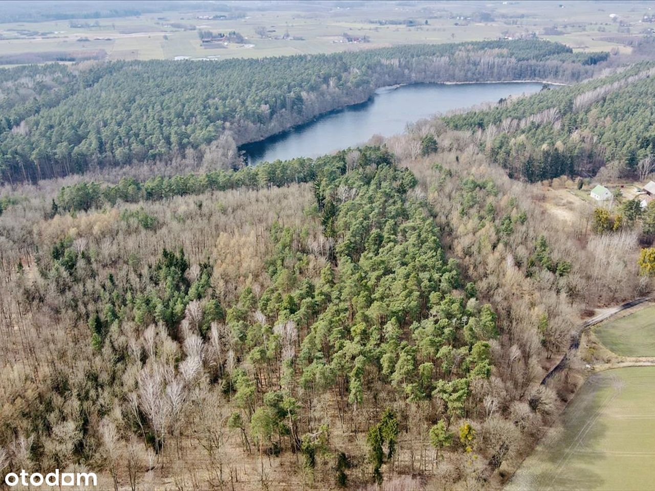 Działka leśna nad Jeziorem Rakowe