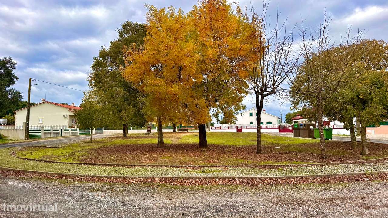 Moradia com 6 assoalhadas - 120 m2 - sótão - espaço exterior - Tremês-33