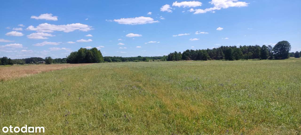 Działka budowlana 1665 m2 - Pełny obrazek: 5/6