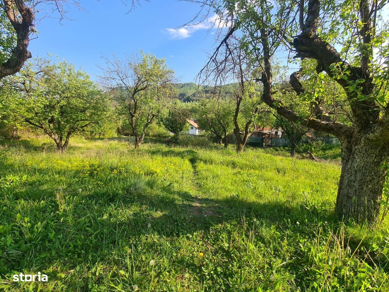 Teren intravilan de vanzare-3