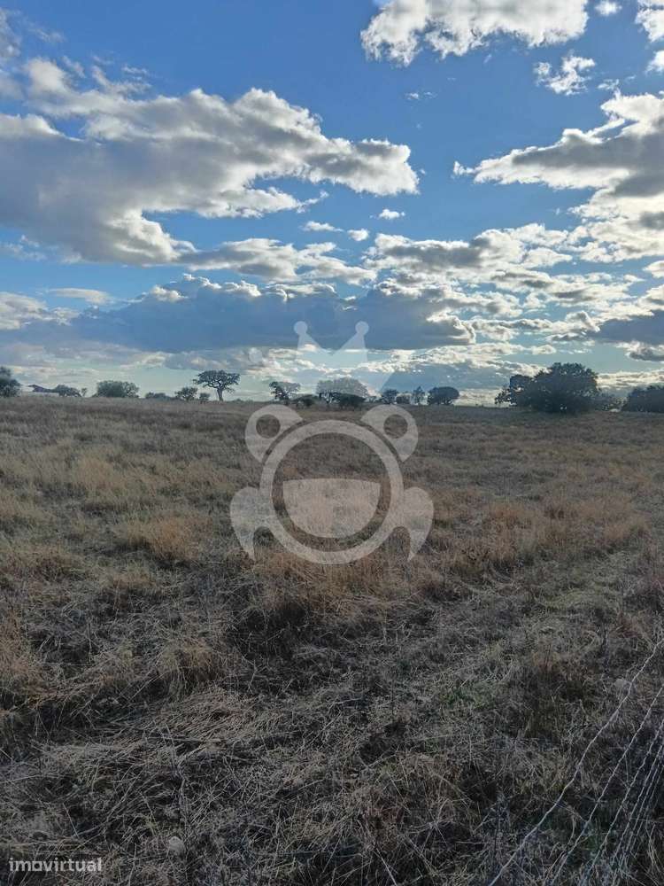 Terreno Rustico com possibilidade de construção - Grande imagem: 5/30