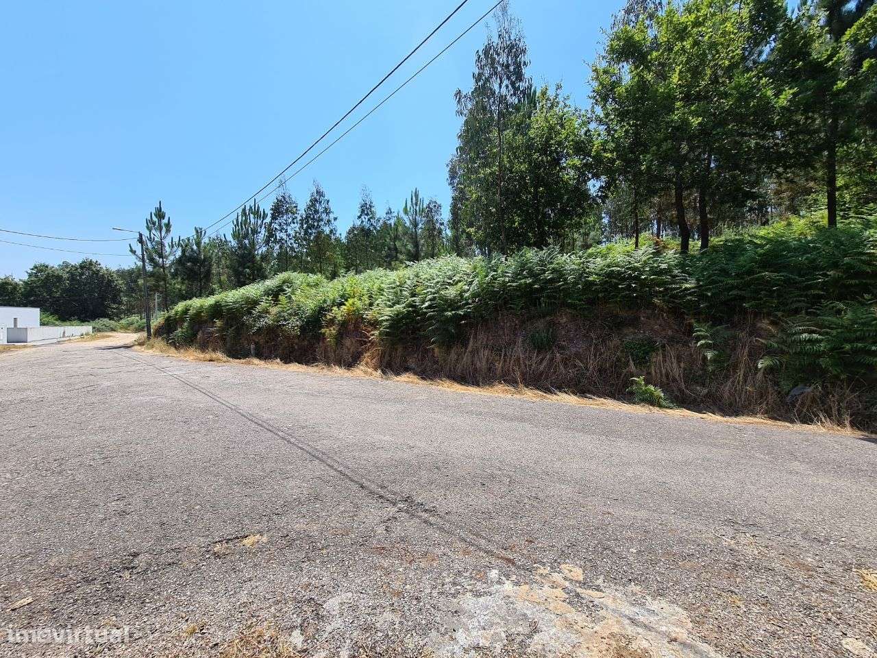 Terreno para construção em Nogueira do Cravo-10
