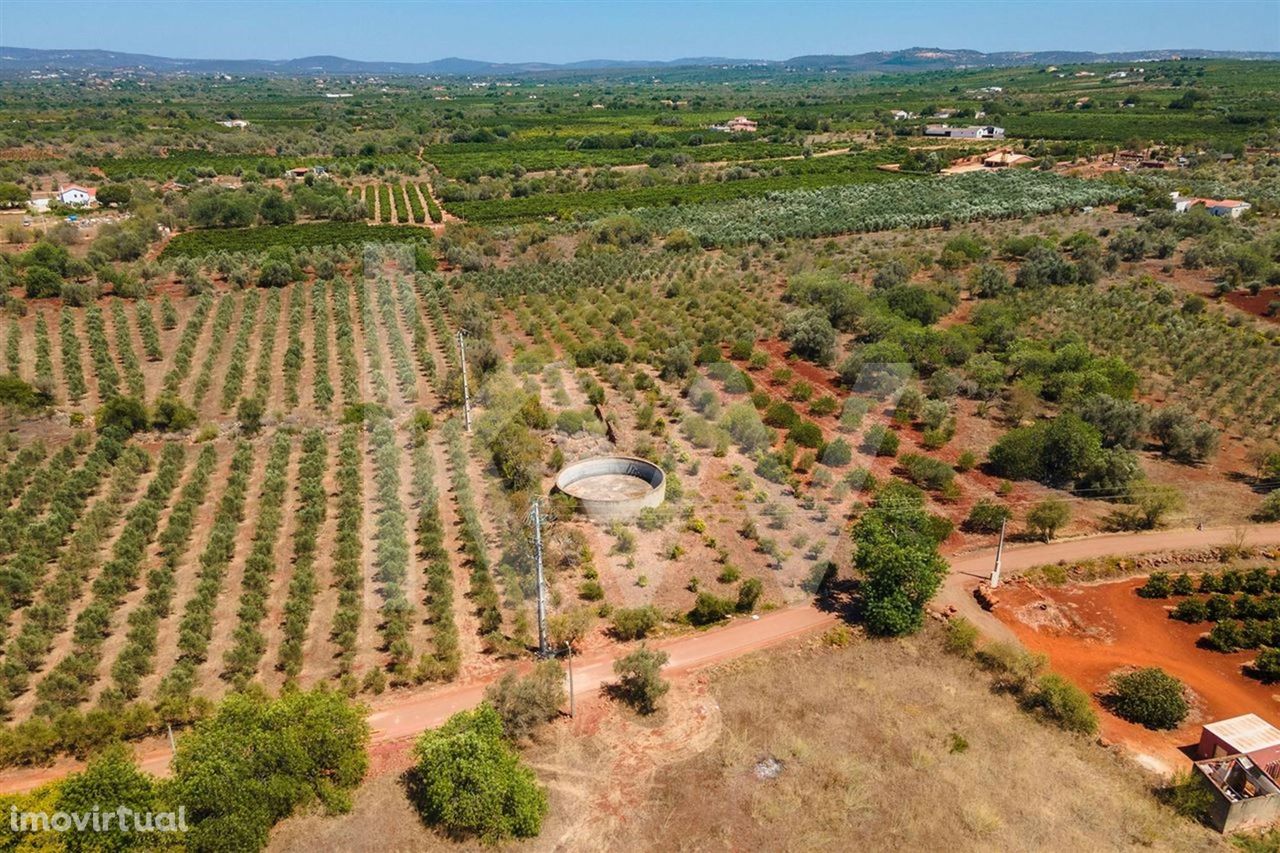 Terreno com ruína - São Bartolomeu de Messines