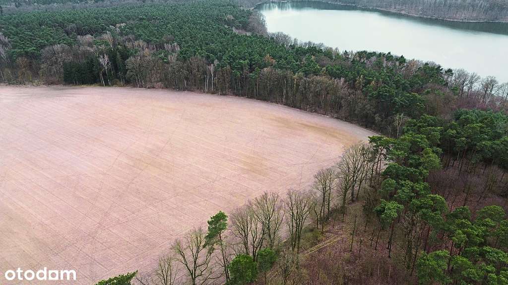 Twoja enklawa wśród lasu i jezior-5