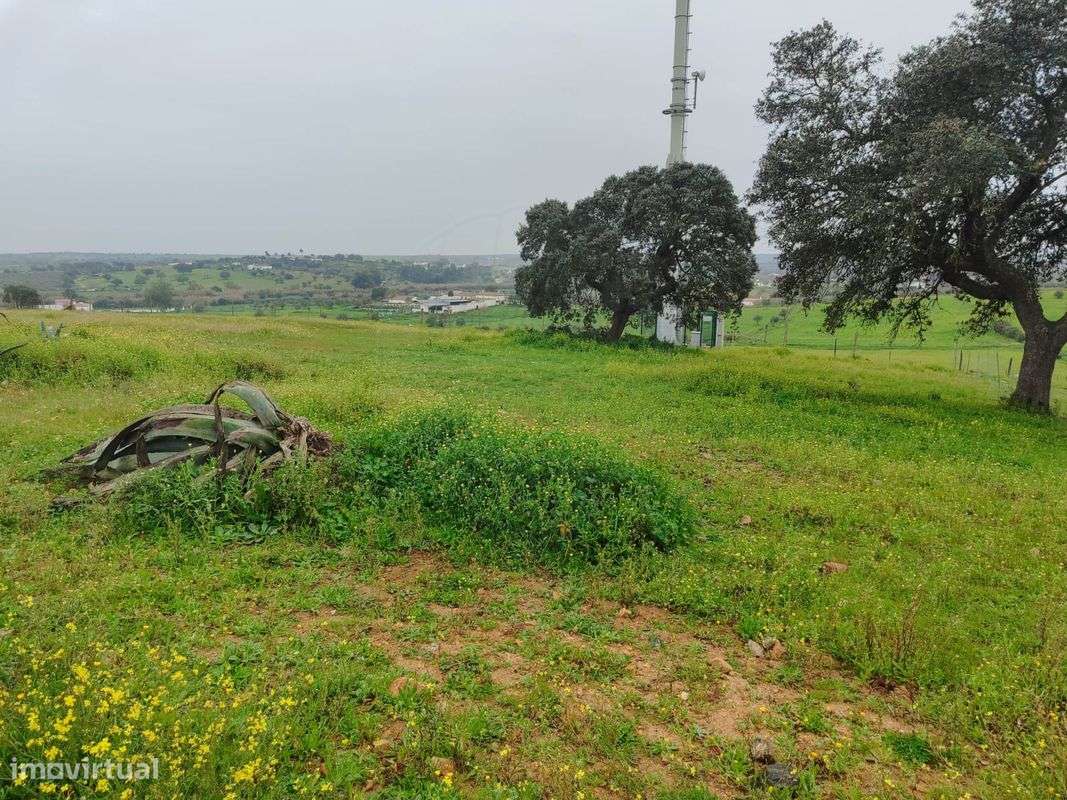 Terreno  para venda - Grande imagem: 5/6