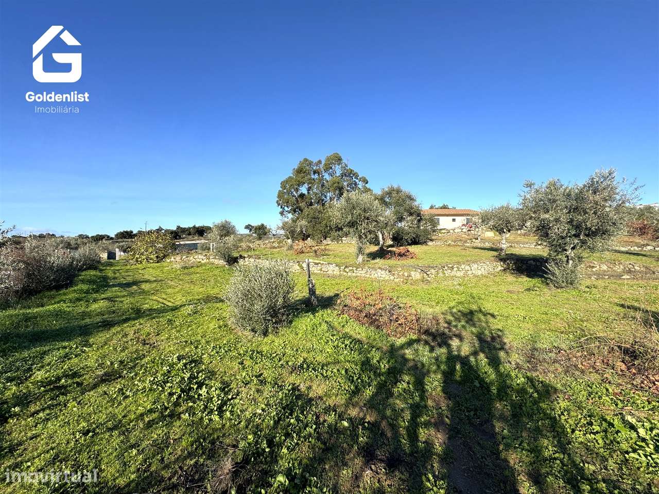 Quinta T3 Venda em Escalos de Cima e Lousa,Castelo Branco-53