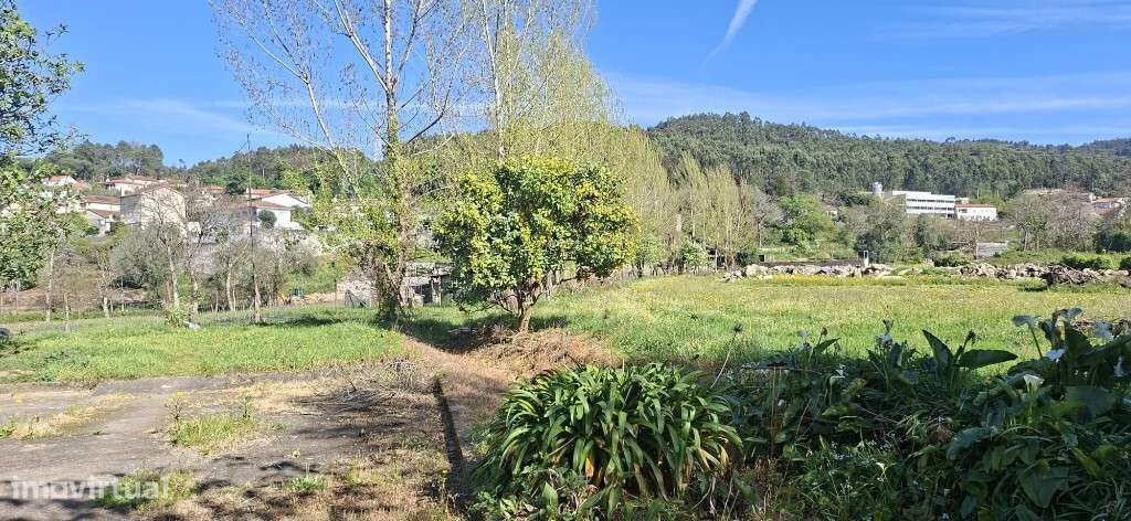 Moradia Térrea em Estrutura - Adaúfe - Grande imagem: 5/5