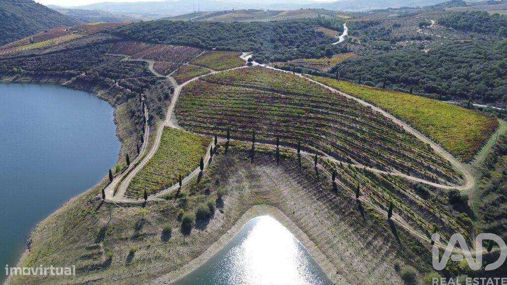 Quinta em Horta de 584006,00 m2 - Grande imagem: 5/28