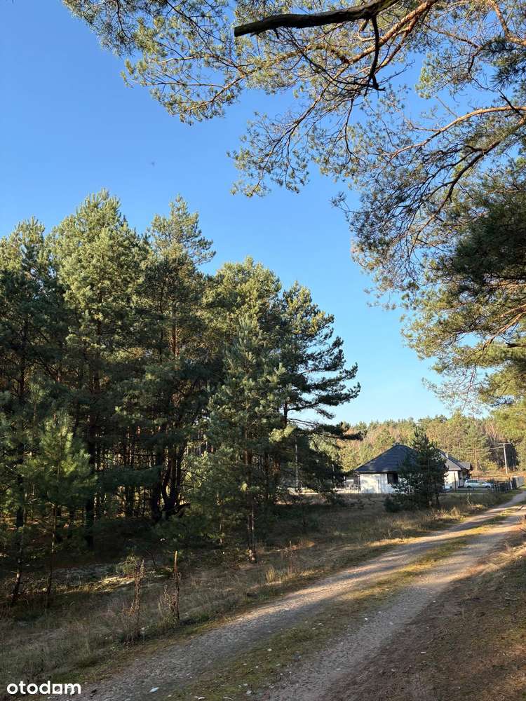 Działka przy ścianie lasu, z warunkami zabudowy dla 2 domów. - Pełny obrazek: 4/5