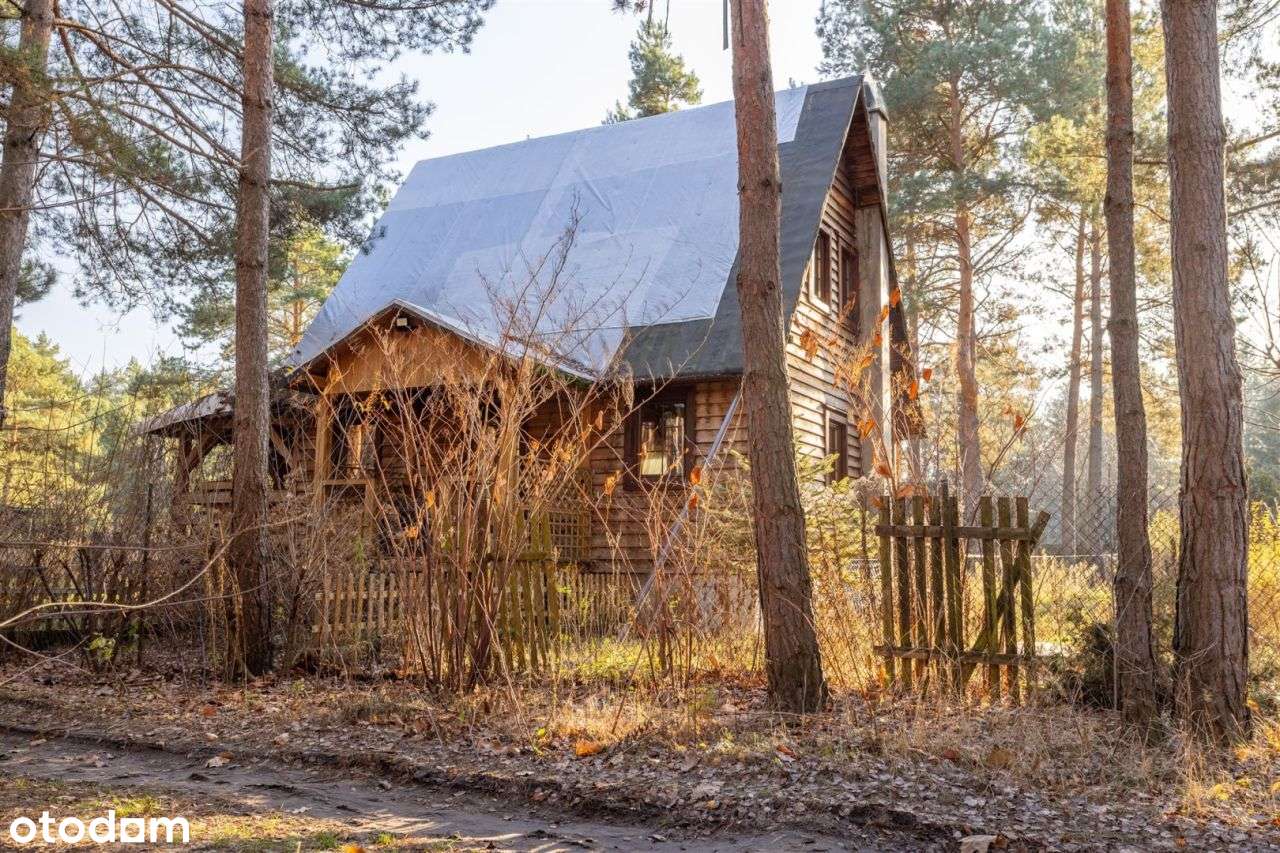 Dom drewniany całoroczny przy lesie Działka 915m - Pełny obrazek: 5/20