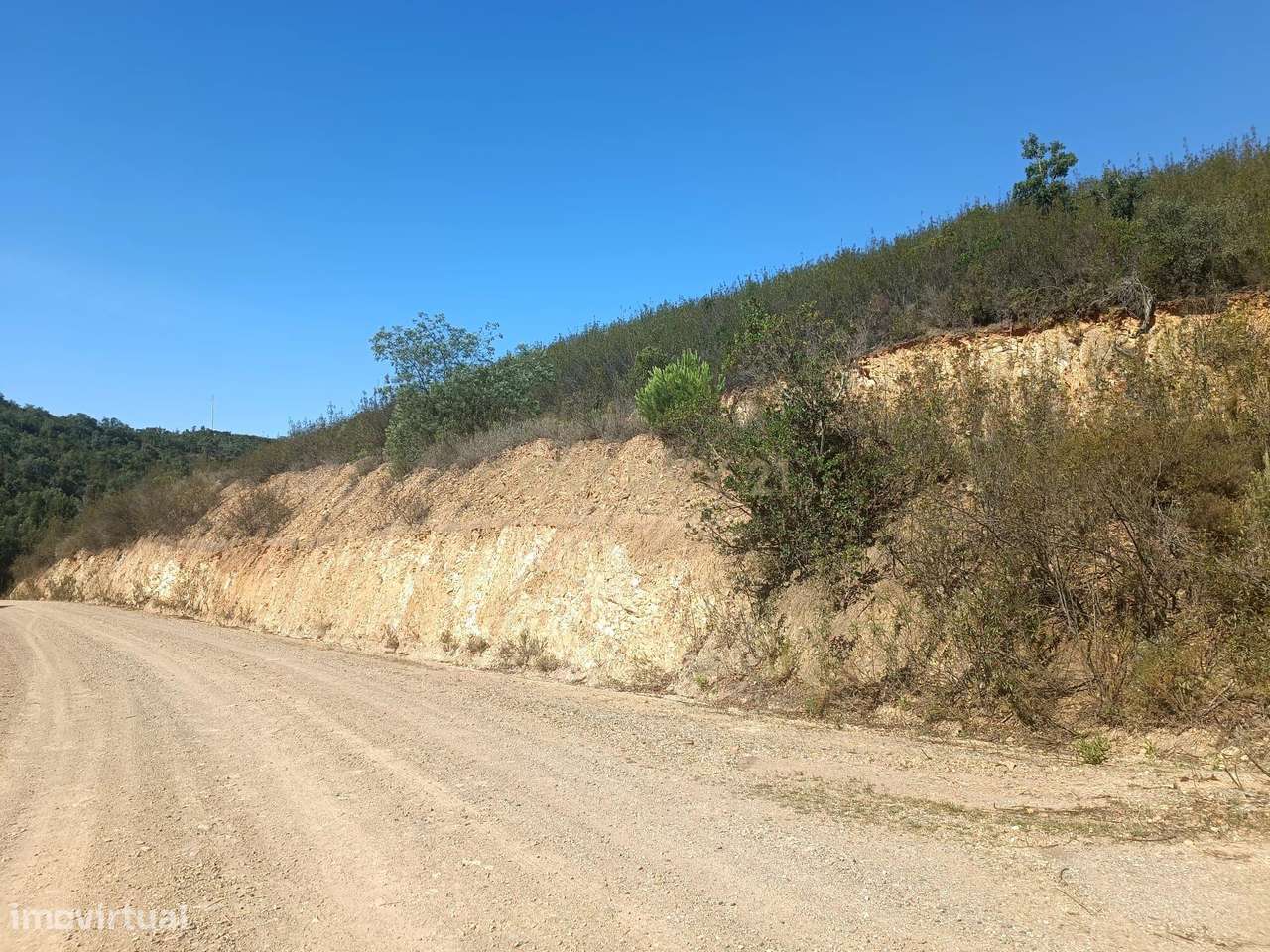 Terreno Rustico com 26320m para venda na Fonte Ferrosa - S. Bartolomeu - Grande imagem: 3/16