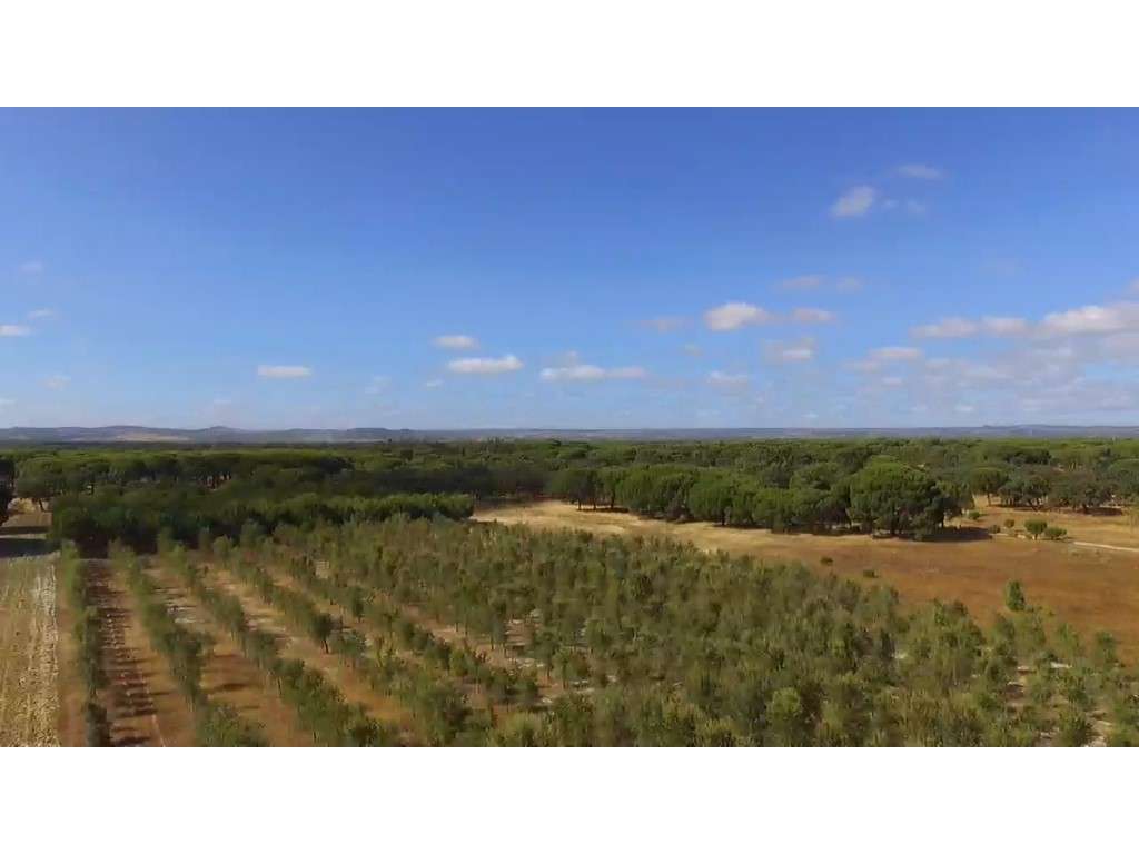 TERRENO Rústico - Grande imagem: 5/24