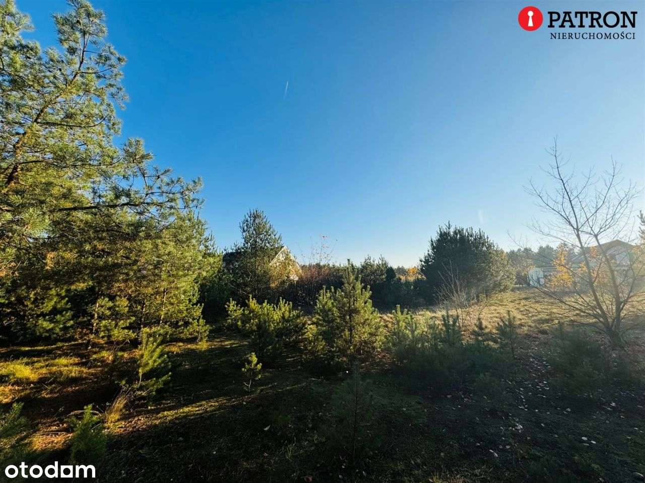 Sprzedam działkę o pow. 2 438 m² w Rurzycy-16