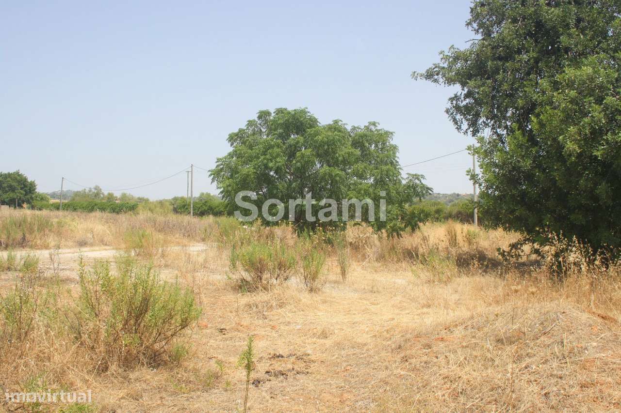 Terreno Rústico  Venda em Loulé (São Sebastião),Loulé - Grande imagem: 2/3