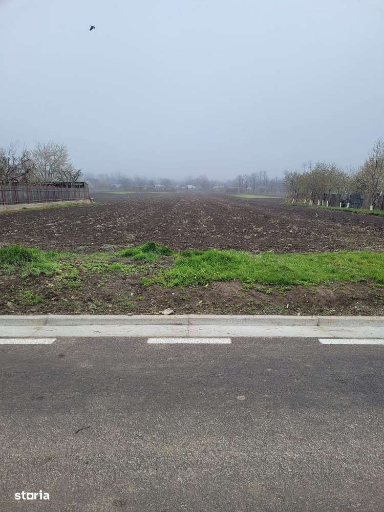 Exclusivitate!Vindem teren intravilan Ruginoasa-2