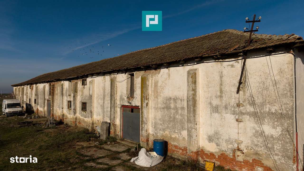 Hală industrială cu teren generos în Zărand, Arad - Imagine principală: 4/20