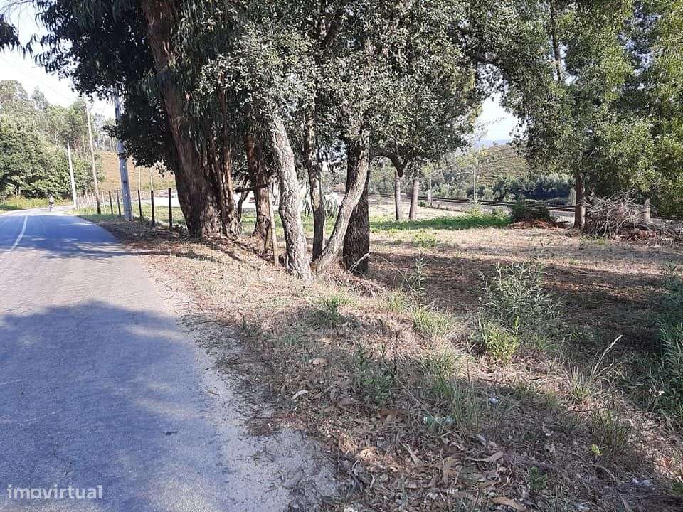 Arrenda Terreno Terronhas -Recarei - Grande imagem: 4/12