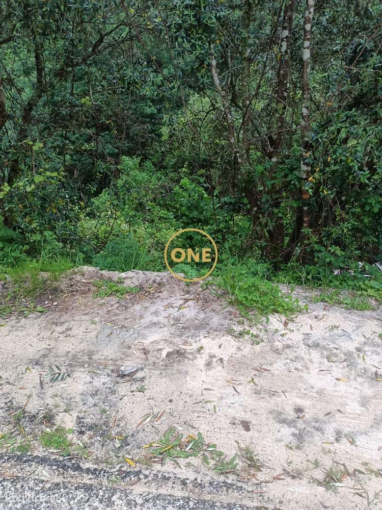 Terreno com Ruína 3380m2j unto Cricular Externa - Grande imagem: 5/8