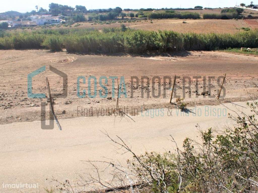 Terreno Rústico com Poço na Raposeira - Grande imagem: 3/9