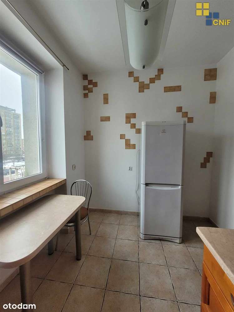 M-3, blisko Jagiellończyków - Pełny obrazek: 2/11