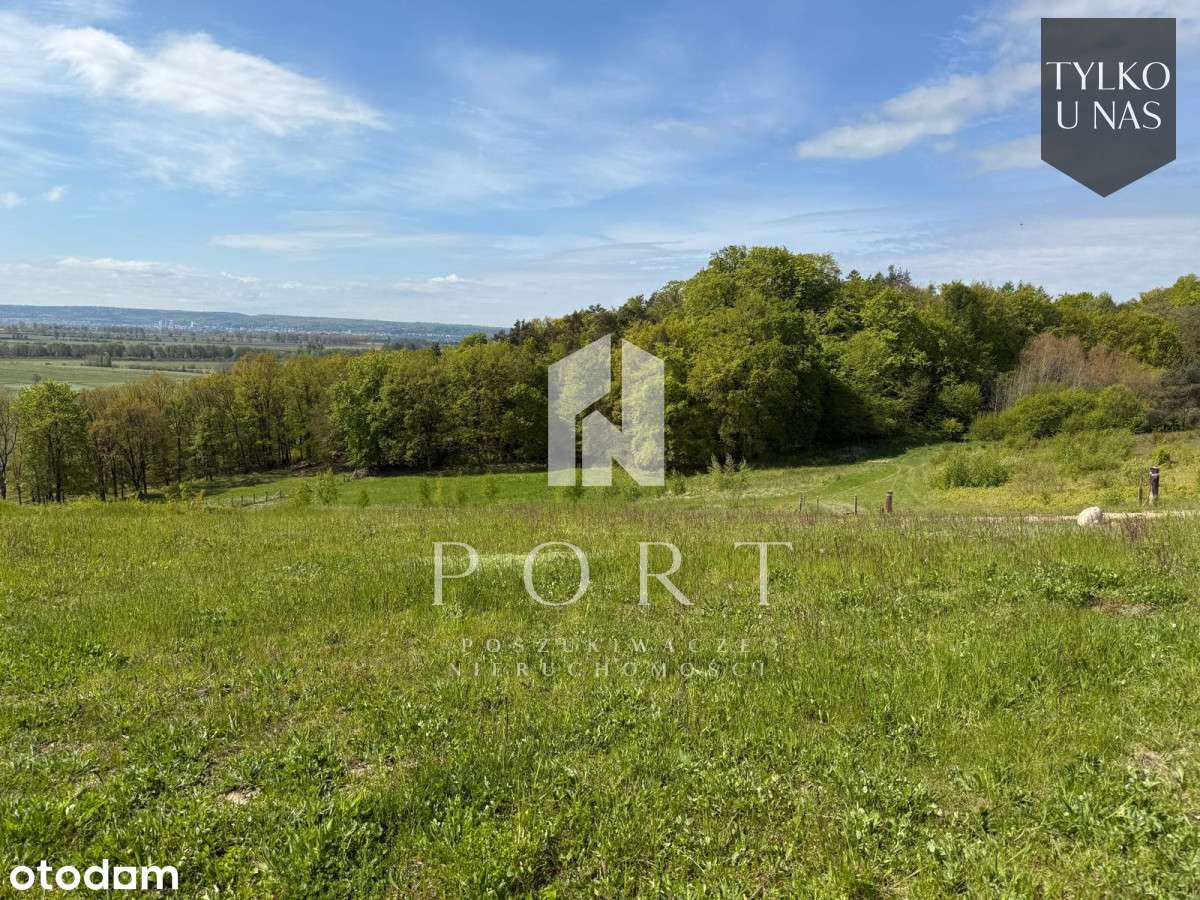 Działka z wyjątkowym widokiem i warunkami zabudowy - Pełny obrazek: 4/5