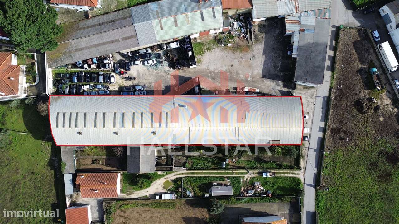 Armazém / Atividade Industrial / Gândara dos Olivais - Grande imagem: 3/21
