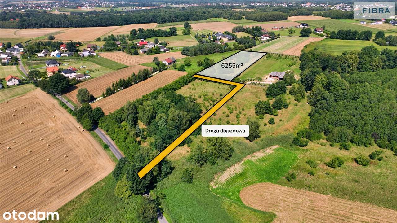 Siedlisko. Nowa niższa cena. - Pełny obrazek: 3/20