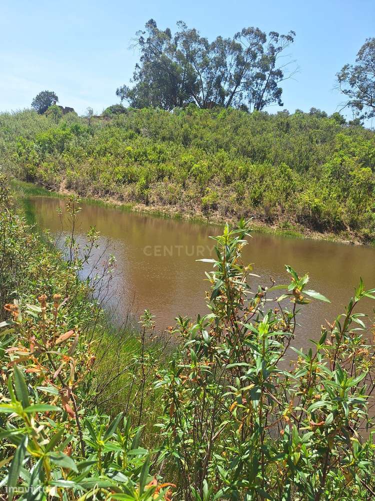Terreno com 89.030 m² à venda em São Bartolomeu de Messines-7