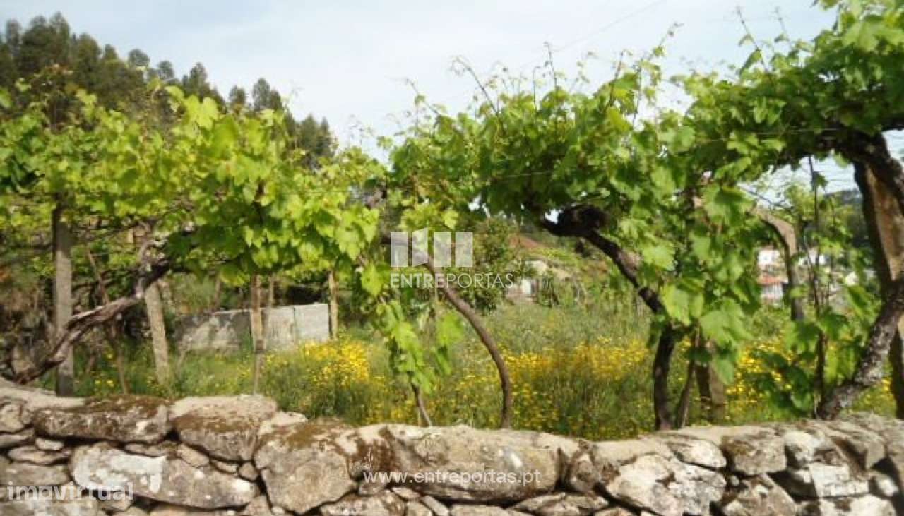 Venda Moradia V2 em Pedra para restauro, Vila Boa do Bispo, Marco de C - Grande imagem: 3/12