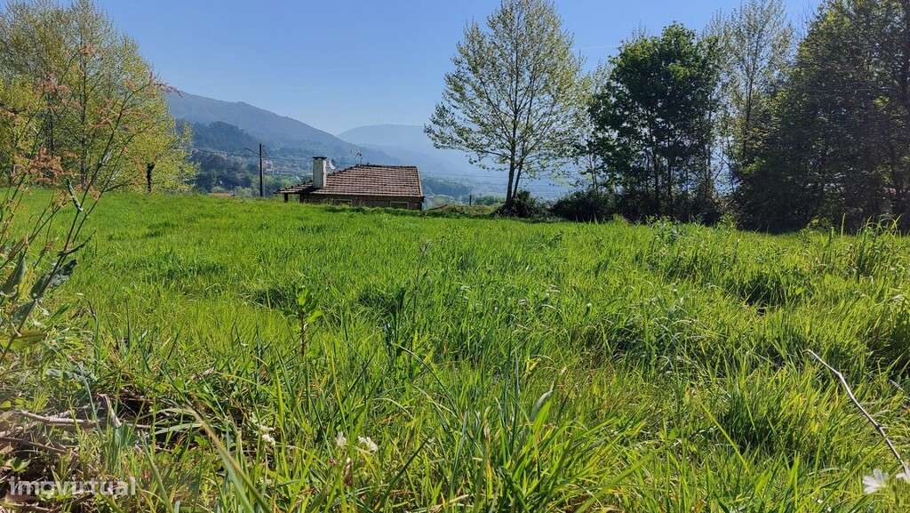 Duas moradias em pedra p/ restauro e terreno - Eira Vedra-10