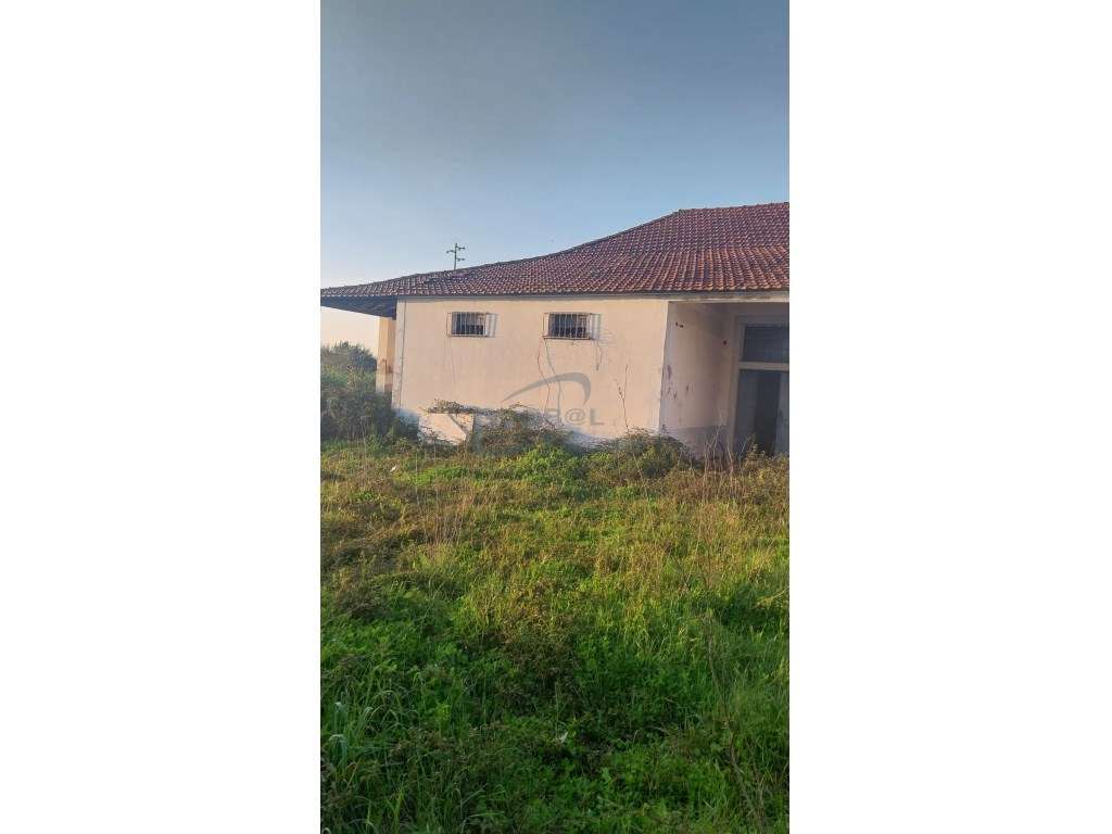 Lagar de Azeite- Lamarosa - Grande imagem: 4/13