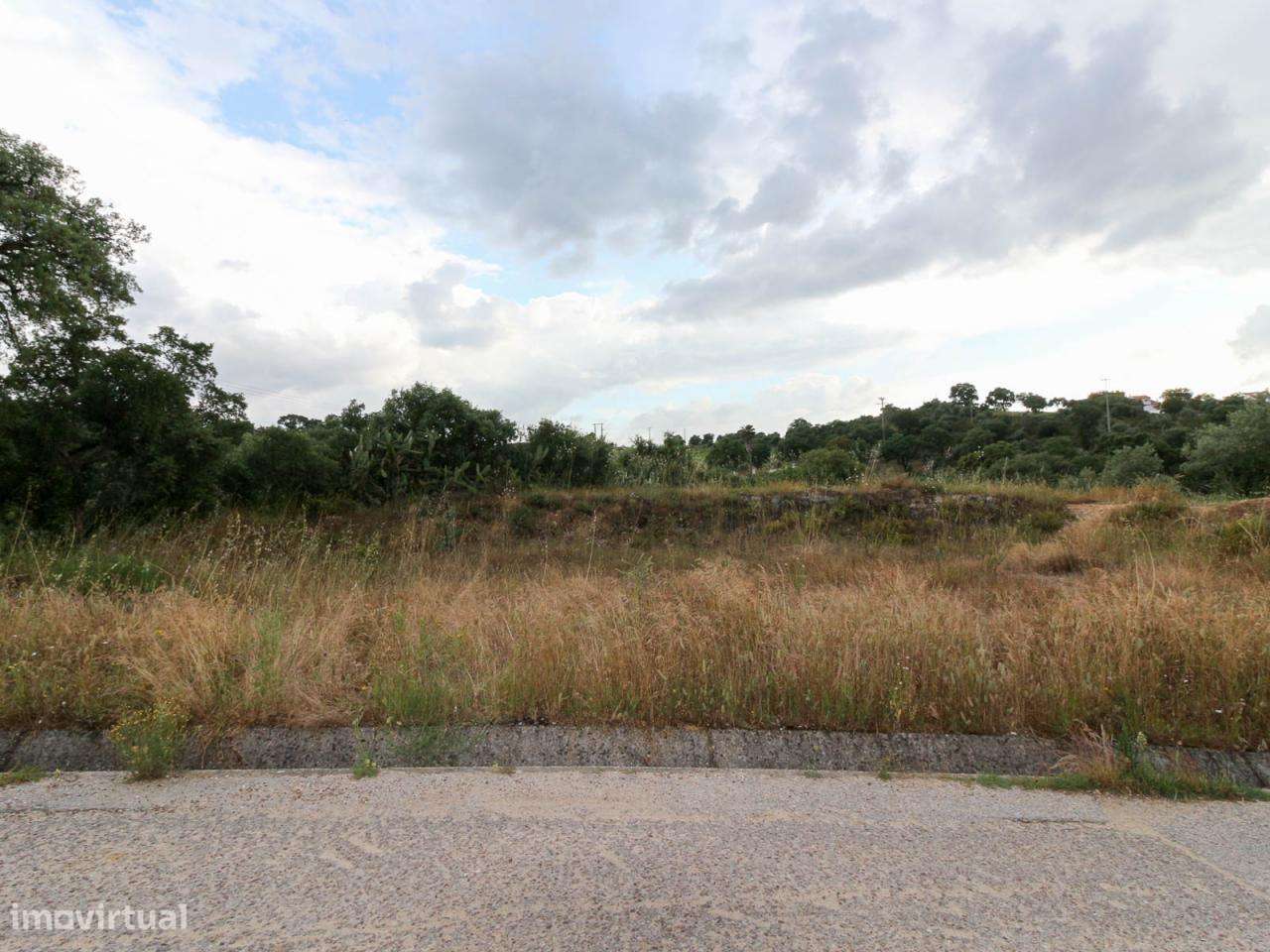 Terreno para Construção de Moradia na Chamusca - Grande imagem: 4/6