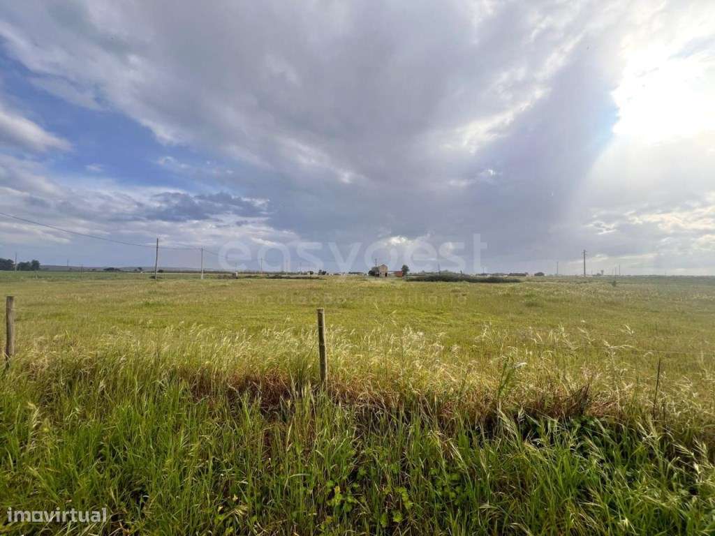 Terreno com 22400m com Construção, Poço e Eletricidade - Grande imagem: 5/17